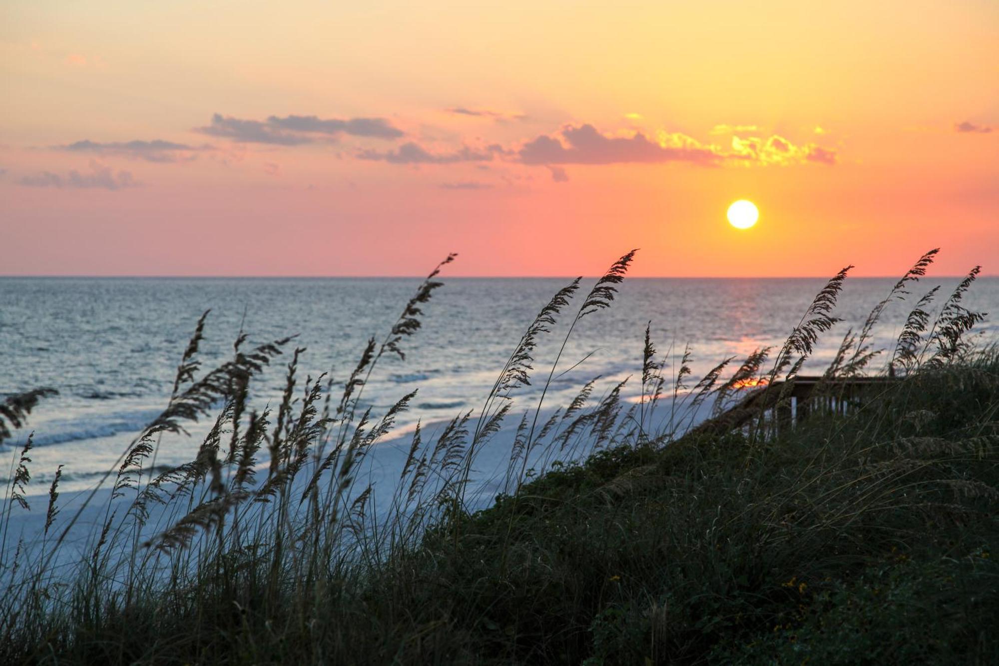 Wood Beach Retreat Santa Rosa Beach Buitenkant foto